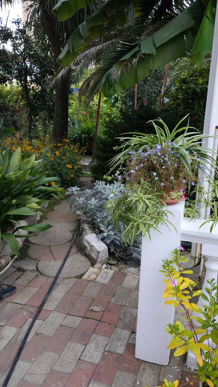 Фото Гостиницы Тропики Адлер 37