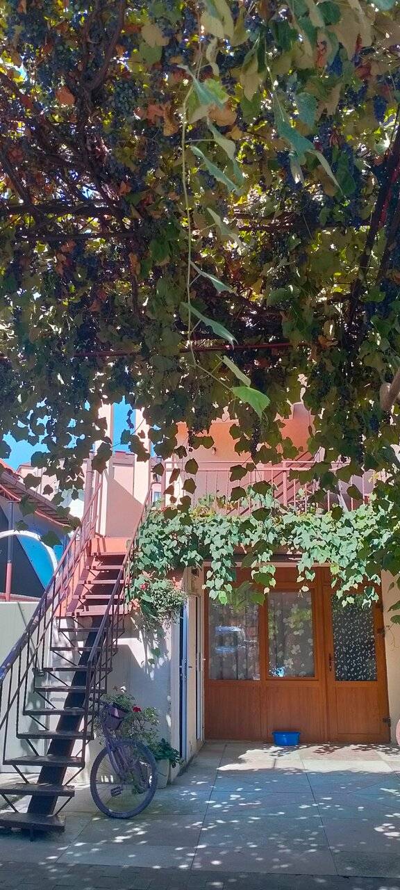 Фото Гостиницы Тропики Адлер 19